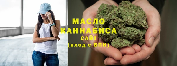индика Абинск