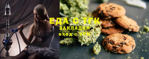 индика Абинск
