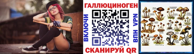 где можно купить   Комсомольск-на-Амуре  Псилоцибиновые грибы MAGIC MUSHROOMS 